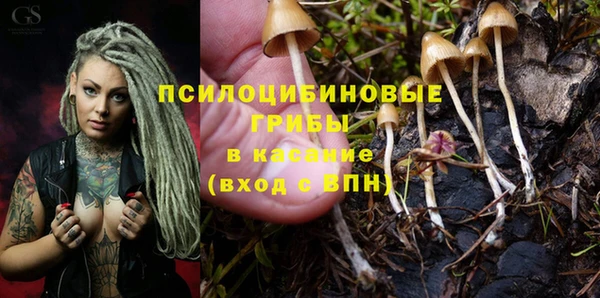 apvp Балахна